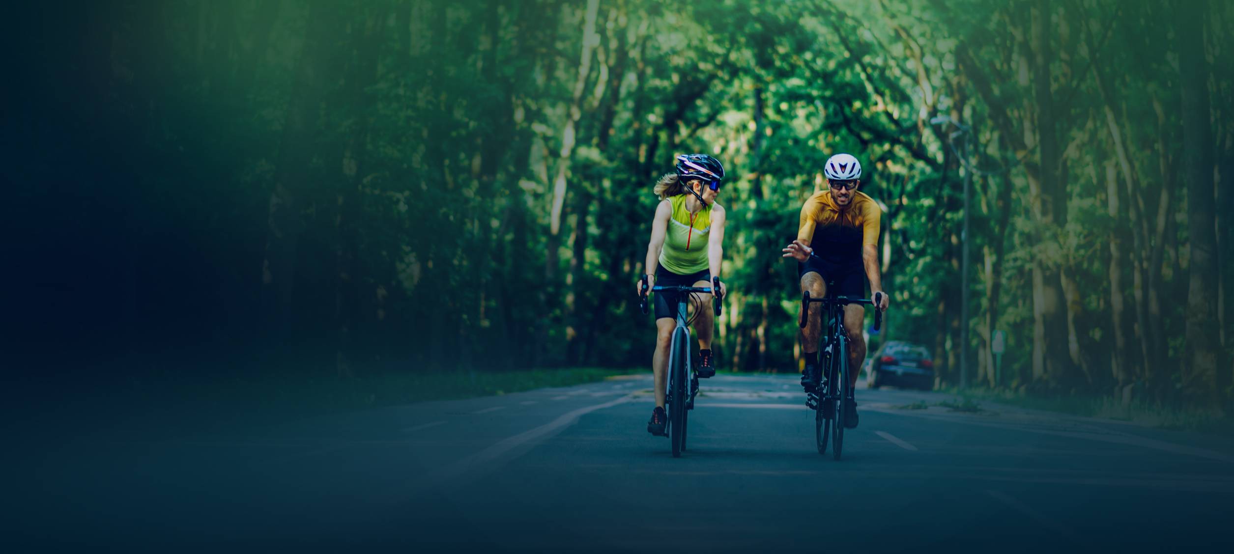 Collaborative Environment